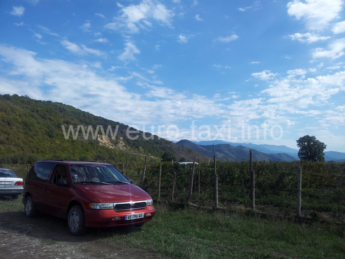 Mercury in the wineyards